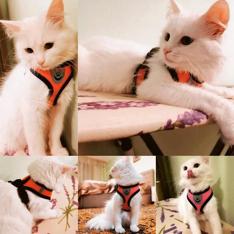 **Breathable Pet Harness Set **