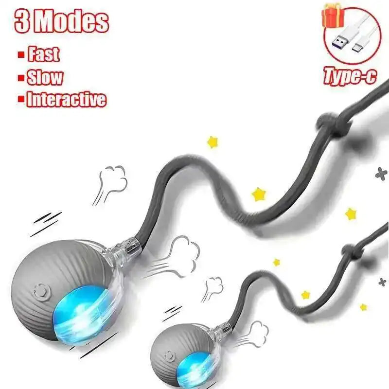 Interactive Dog Ball Toy