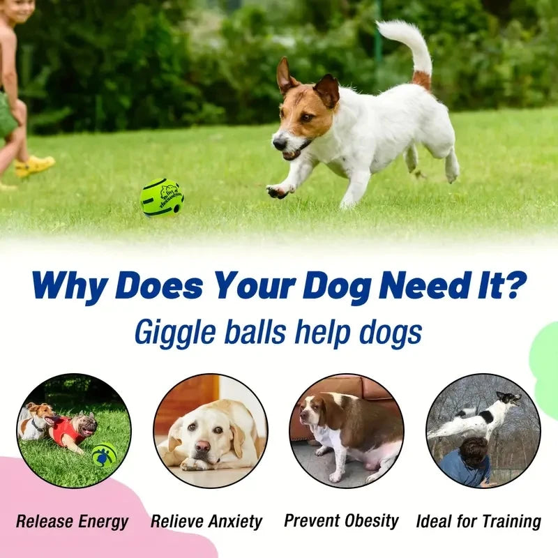 Interactive giggle ball for dogs – mental stimulation and exercise toy for fun play.