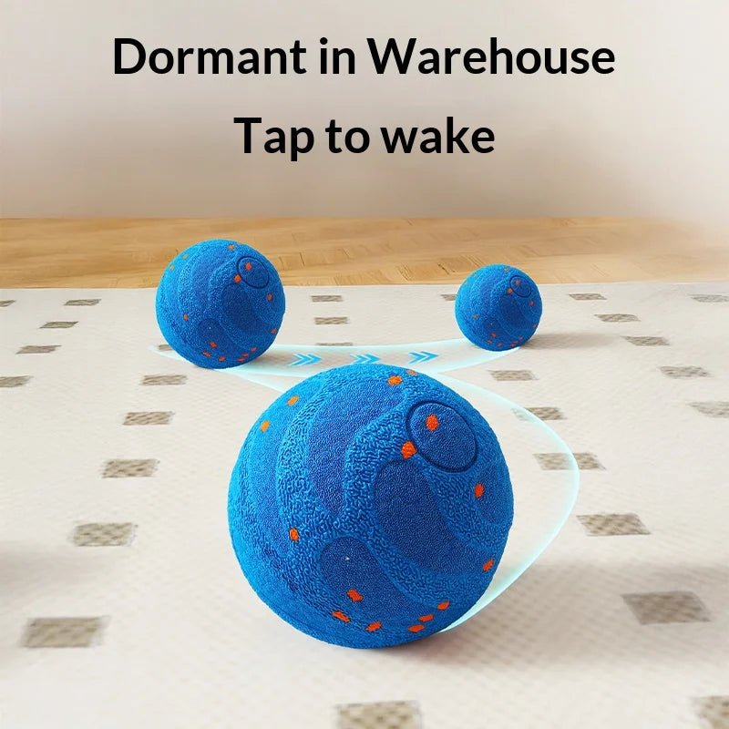 Smart LED Interactive Pet Ball