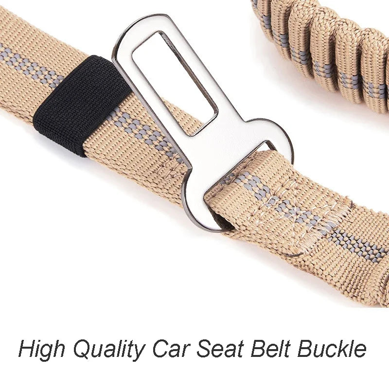 Reflective Shock Absorbing Dog Leash with Seatbelt