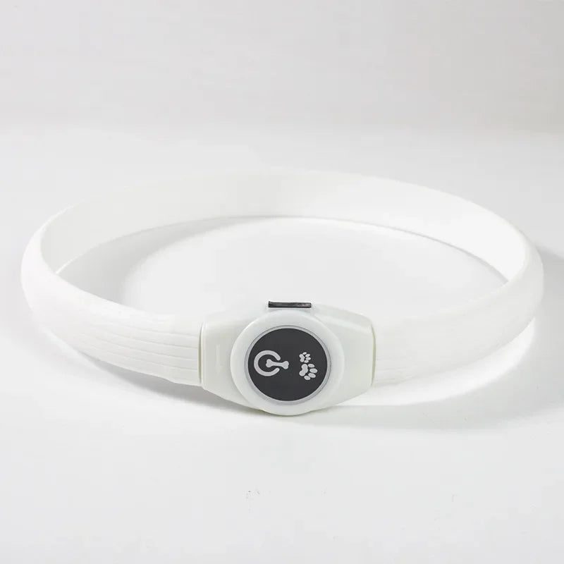 LED luminous waterproof PVC dog collar – USB rechargeable glowing safety collar for dogs of all sizes.
