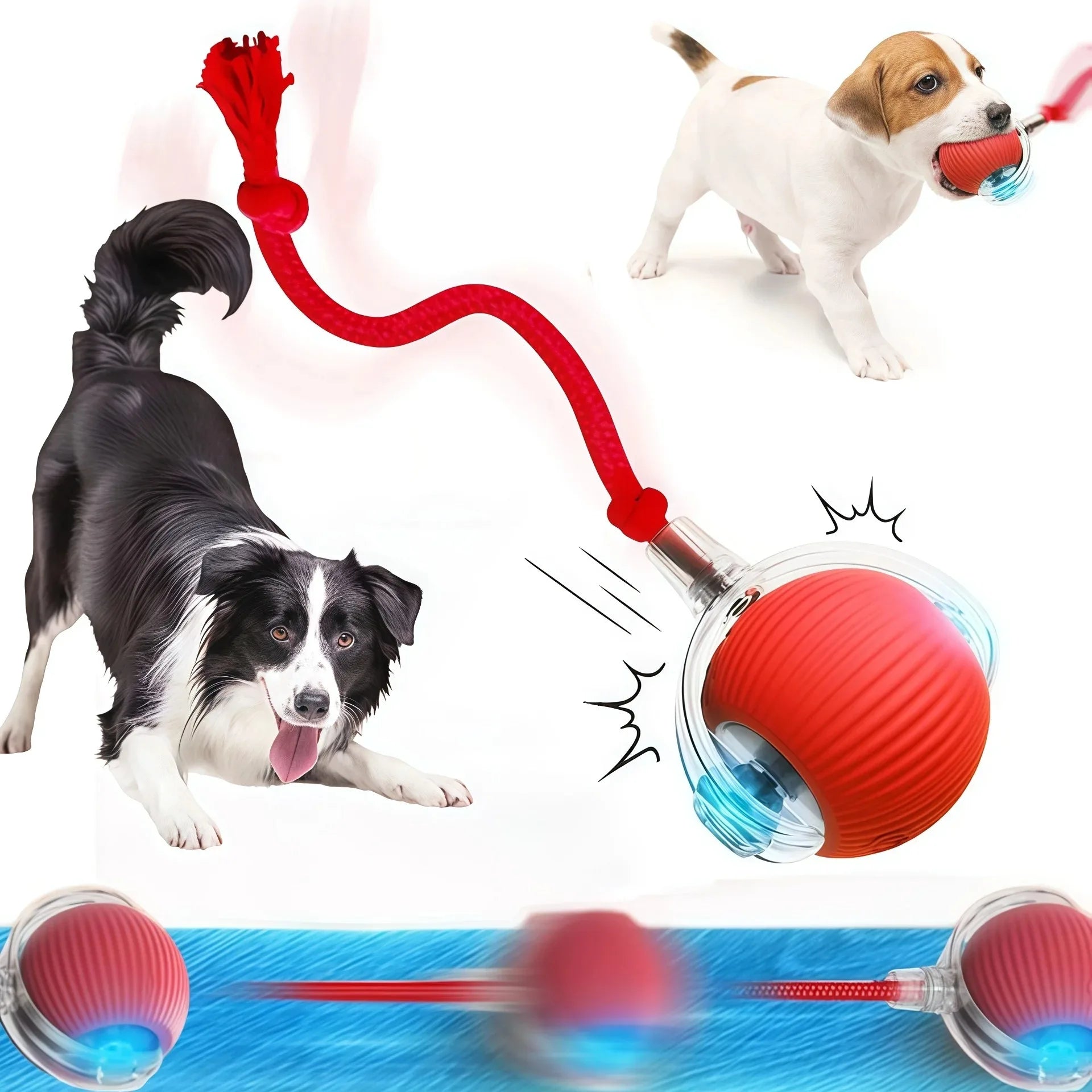 Interactive Dog Ball Toy