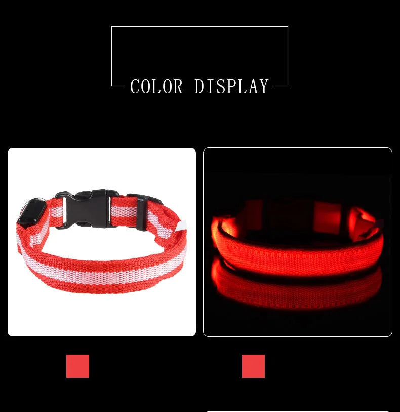 LED Glow Nylon Dog Leash