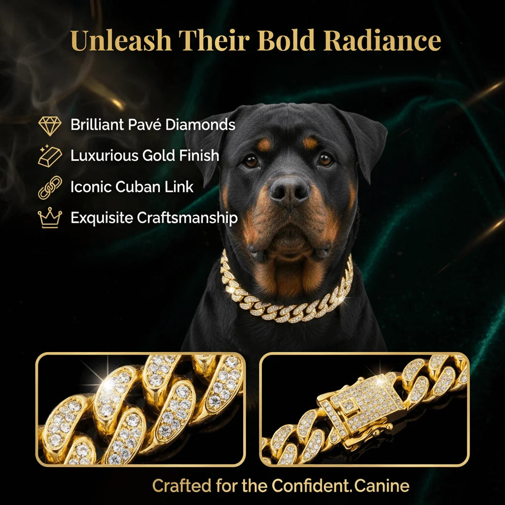 **Luxury Cuban Dog Collar **