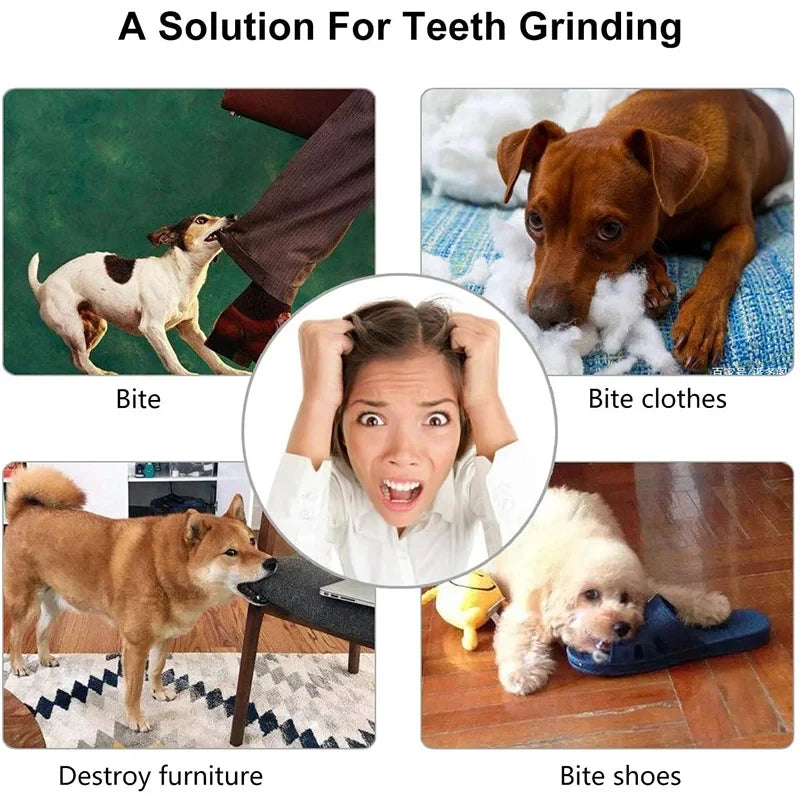 Interactive Dog Treat Ball
